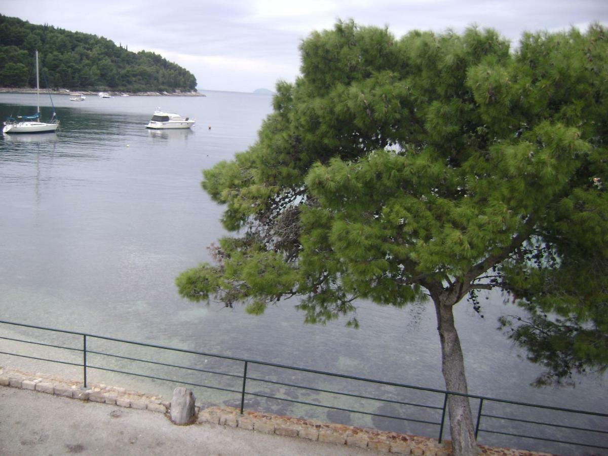 Apartment Andriuci Cavtat Εξωτερικό φωτογραφία